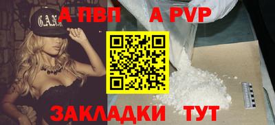стафф Донецк