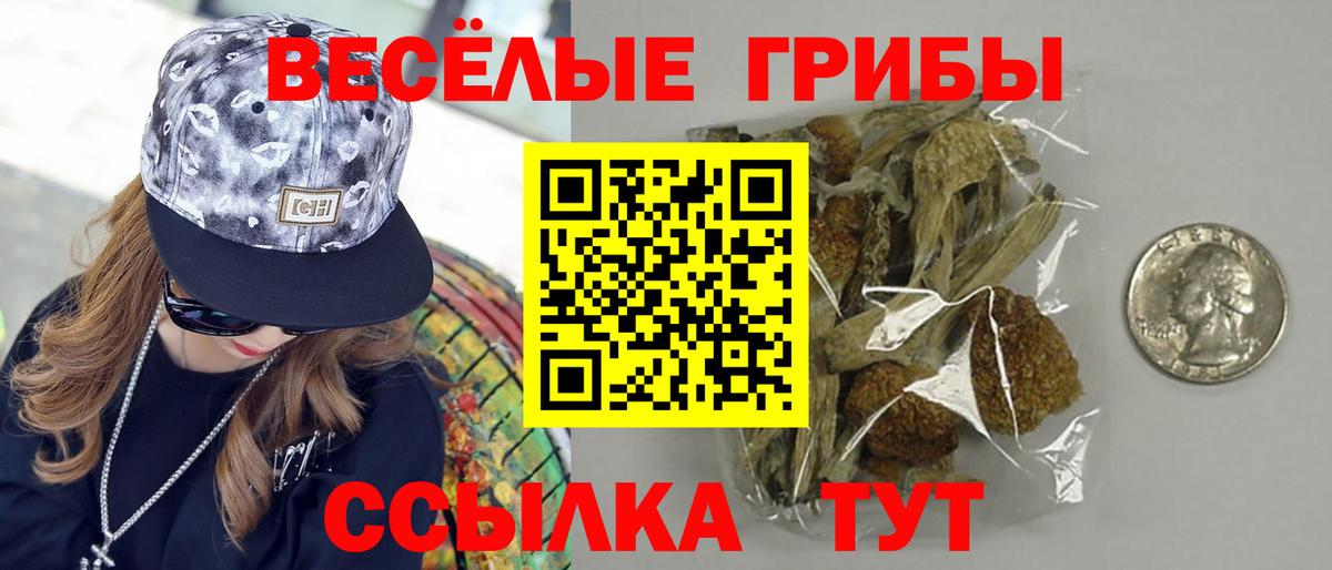 Псилоцибиновые грибы ЛСД Кингисепп